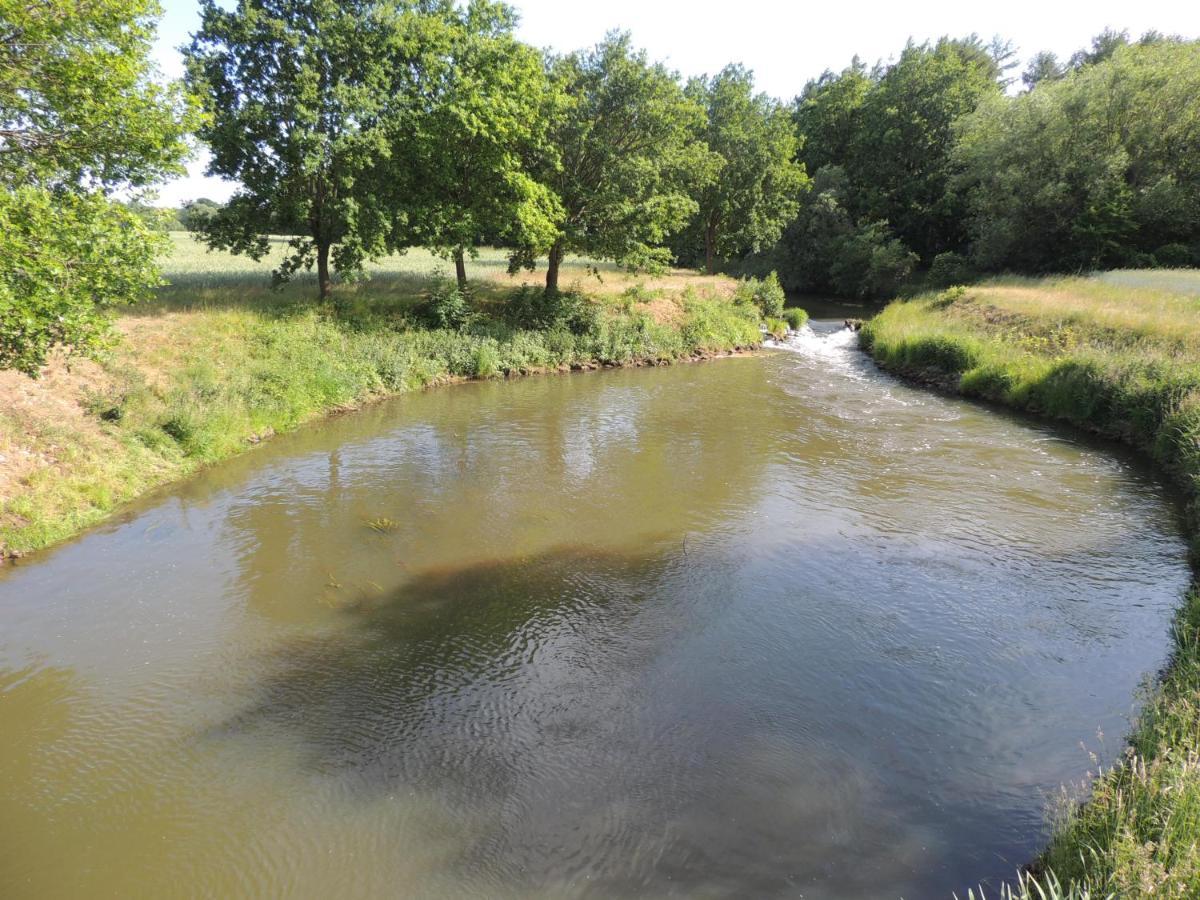 Schomaker Rieste